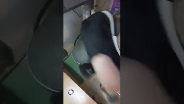 Химчистка кроссовок