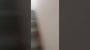 Анонимус в подъезде