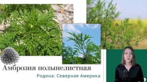 Инвазивные виды растений