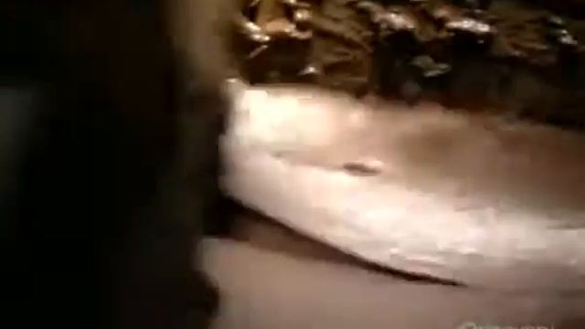 How It’s Made Rolled Wafers.mp4