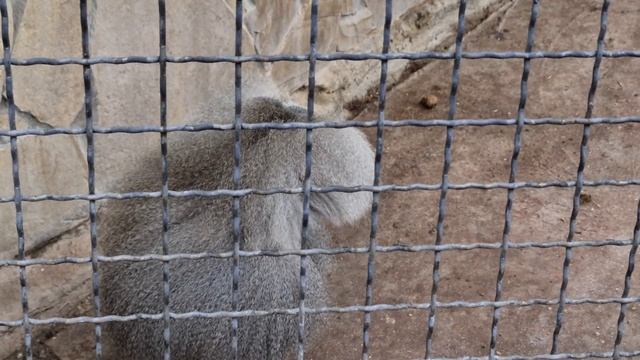 У Джонни разгрузочный день после праздников) Тайган смотреть онлайн