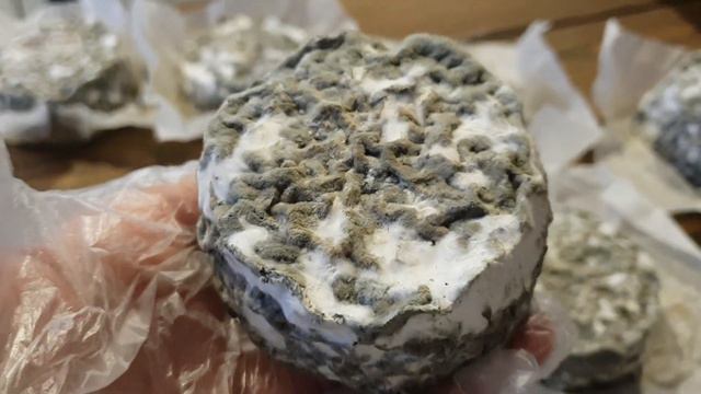 Кроттен смотреть онлайн