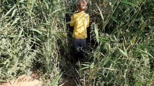 Как я поймал змееголову на поплавок