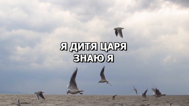 Я дитя царя