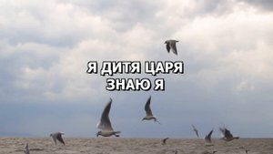 Я дитя царя