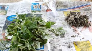 малиновые типсы готовим на чай