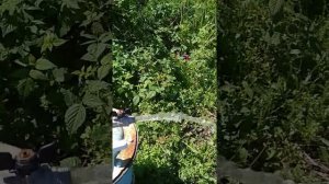 Песочный фильтр для каркасного бассейна своими руками