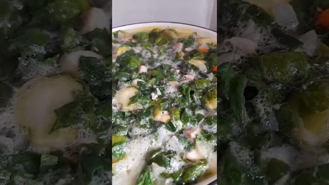 Брюссельские Щи?Brussels Cabbage Soup смотреть онлайн