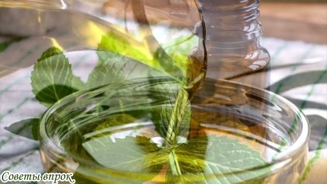 Эти Советы Помогут Вылечить Храп➤Как избавиться от Храпа➤Что помогает от храпа