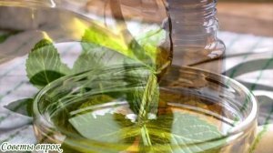 Эти Советы Помогут Вылечить Храп➤Как избавиться от Храпа➤Что помогает от храпа