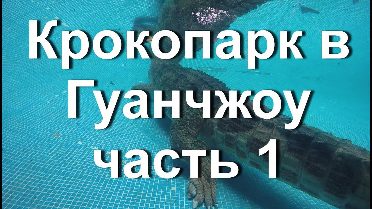 Крокопарк в Гуанчжоу. Crocopark Guangzhou. Часть 1.