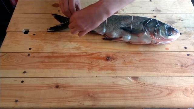 Горячее копчение  Коптим толстолоба в бочке