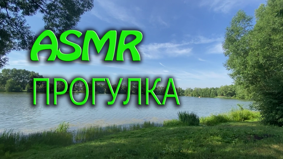 АСМР РАЗГОВОРЫ, АСМР ПРОГУЛКА РАНО УТРОМ, ЗВУКИ ПТИЦ, ШЕЛЕСТ  #ASMR #АСМРПРОГУЛКА, #bear_asmr