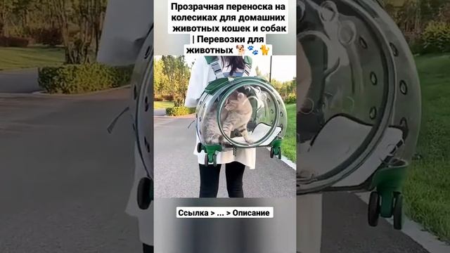 Прозрачная переноска на колесиках для домашних  животных кошек и собак | Перевозки для животных ???