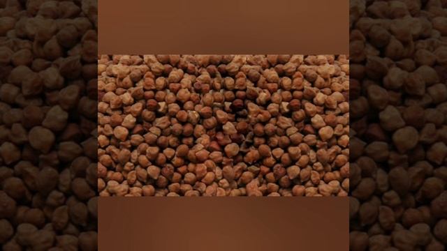 CHANA FUTURE UPDATE смотреть онлайн