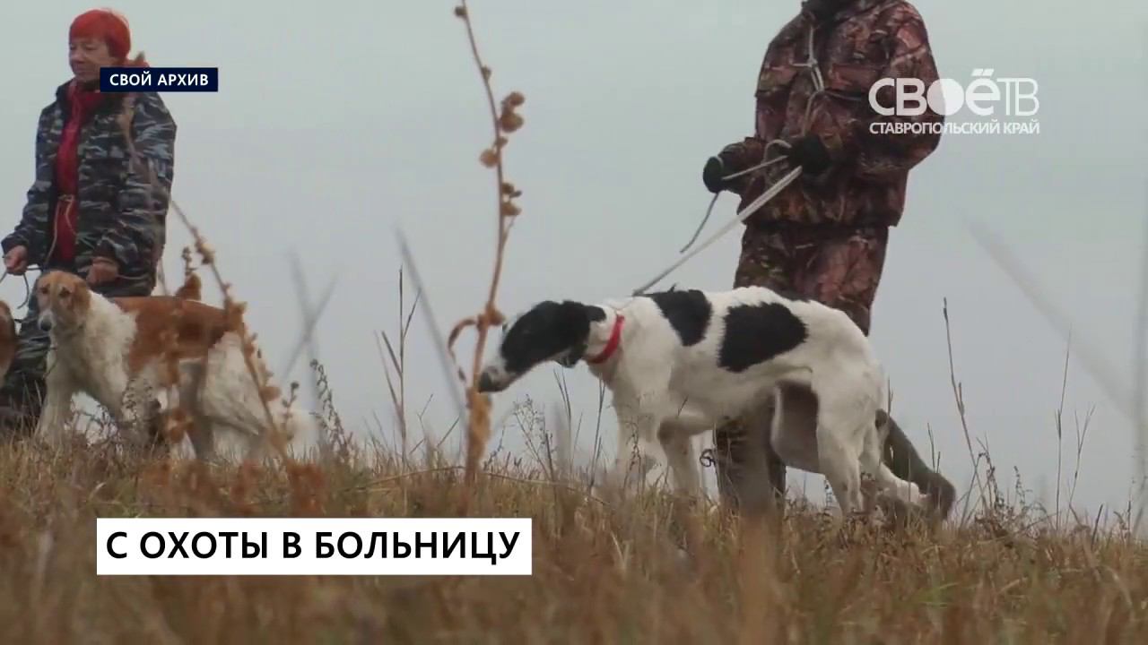 Охота в ставропольском крае. Ставропольский край сроки охоты.