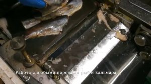 Шкуросъемная машина CH 350P для рыбы. Тестирование на соленой сельди