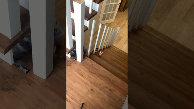 Балясины и перила на лестницу смотреть онлайн