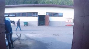 Обзор Конно-Спортивного Клуба Измайлово Equestrian Club Izmailovo Moscow Review