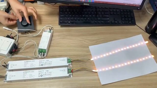 #LTECH Triac Driver Works With Legrand Dimmer (Connect With TT-550-W1T Triac Power Amplifier) смотреть онлайн