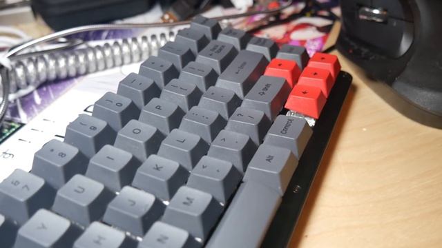 Nightfox Build by Manofinterests смотреть онлайн