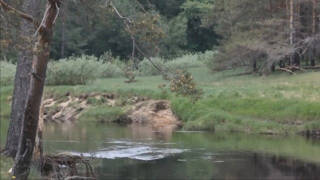 Ляды смотреть онлайн