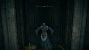 ELDEN RING Deluxe Edition Steam Rip InsaneRamZes