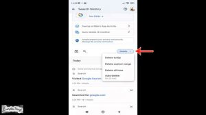 Protect Your Privacy Easy Steps to Delete Google Search History on Your Smartphone