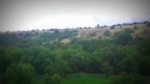 Монастырище 2017