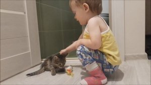 Котёнок Симка. Когда мы были маленькими