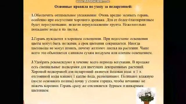 СШИ#1 урок:Цветоводство и декоративоное садоводство  учитель:Чердынцева Д.В