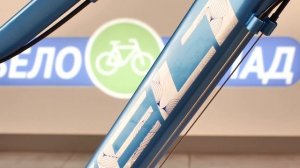 Велосипед Welt Edelweiss 1.0 D 26 (2022)