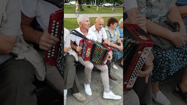 240831 Угадай мелодию! Музыка на гармони пишите в комментариях парк горсад горпарк фонтан город Орёл