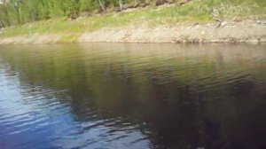 Рыбалка на реке Зея. Лето 2015