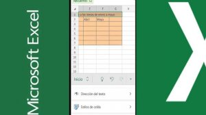 Cómo usar Excel en el celular (fácil de usar)