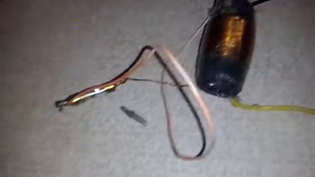 Схема электрошока смотреть онлайн