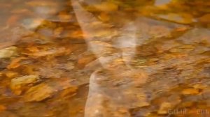 _ОПУСКАЕТСЯ ВЕЧЕР НА ПЛЕЧИ_. Поёт Валерий Сёмин_группа _Белый день.