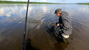 Через час можно было уезжать с рыбалки / Рыба на каждом забросе / Давно мечтал о таком клеве
