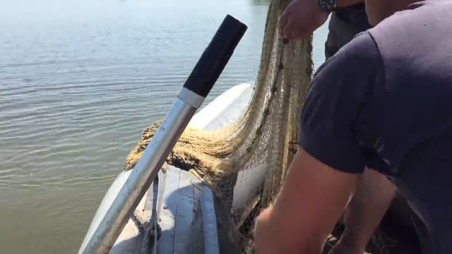 Рыбалка кастинговой сетью с лодки .6 КГ рыбы за один заброс. смотреть онлайн