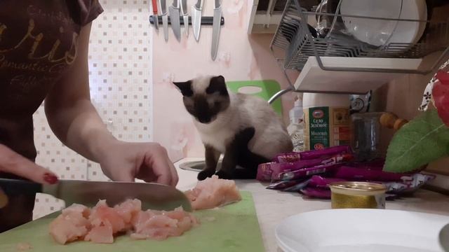 Сегодня праздник у ребят.Подарок для Симоны)) смотреть онлайн