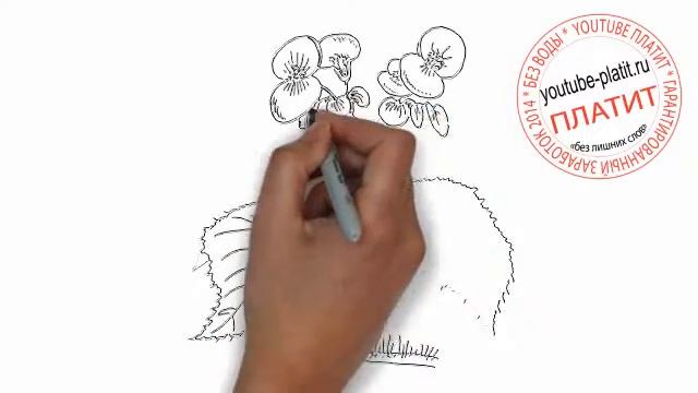 Нарисованные цветы Как нарисовать цветок незабудку смотреть онлайн