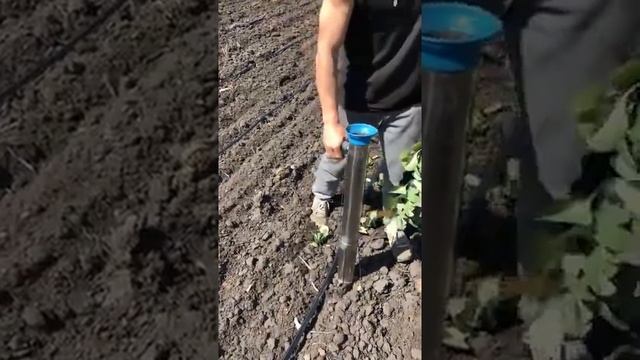 Видеообзор ручного рассадопосадочного устройства Кальмар