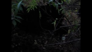 Всл В Омской области