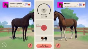 BREEDING IS HERE ? Equestrian The Game