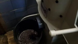 Машина для мойки свеклы Спрут 500К