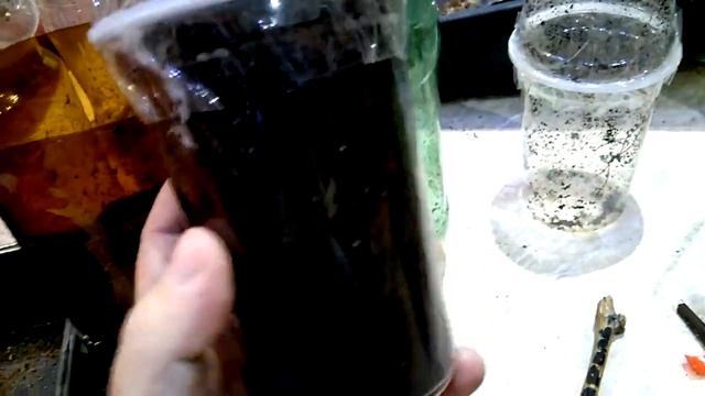 Гниют корни винограда? / Чем опасен перелив саженцев. смотреть онлайн