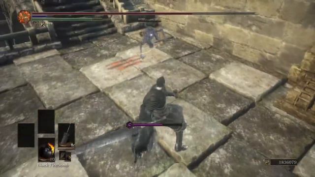 Dark Souls 3 Champions Ashes Mod X Berserk: Guts Build Showcase