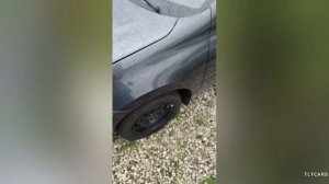 Покупаем Гранта Лифтбек Комфорт Борнео в Тольятти подписчику канала. Цены на Гранту со скидками.