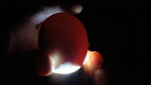 Инкубация куриных яиц. 14 день. смотреть онлайн