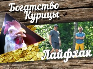 Богатство Курицы: Лайфхак. Как правильно бросить палку